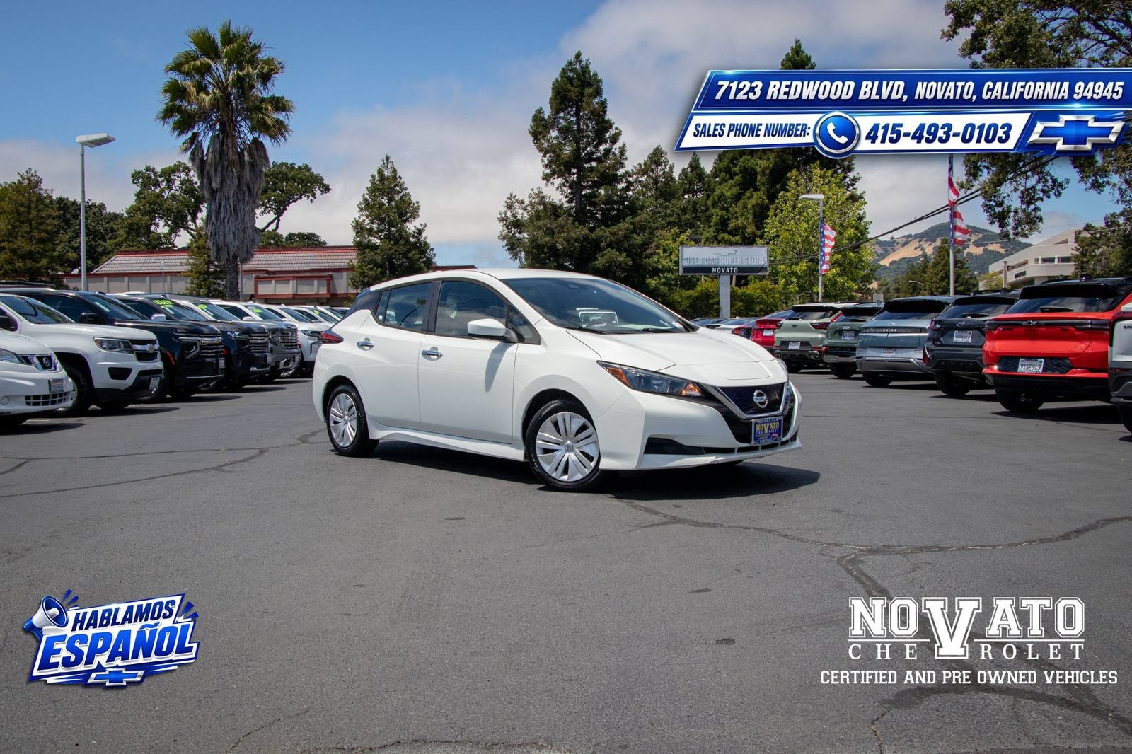 2020 Nissan LEAF